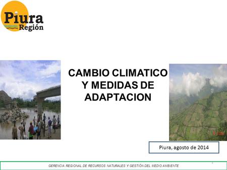 Y MEDIDAS DE ADAPTACION