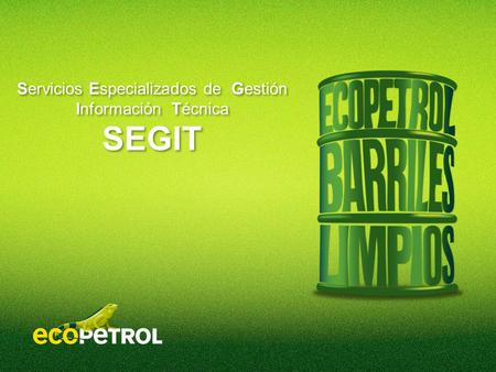 Servicios Especializados de Gestión