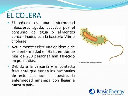 EL COLERA El cólera es una enfermedad infecciosa, aguda, causada por el consumo de agua o alimentos contaminados con la bacteria Vibrio cholerae. Actualmente.