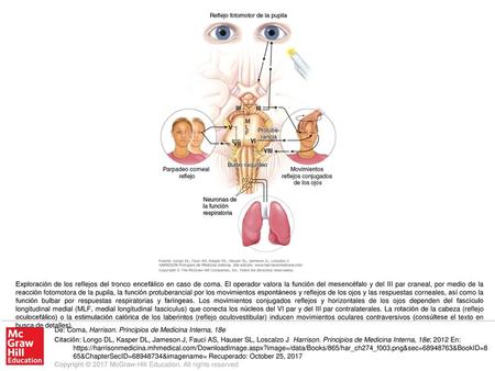 Exploración de los reflejos del tronco encefálico en caso de coma