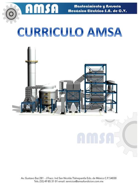 CURRICULO AMSA.