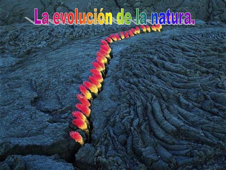 La evolución de la natura.
