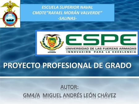 PROYECTO PROFESIONAL DE GRADO