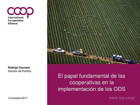 Rodrigo Gouveia El papel fundamental de las cooperativas en la implementación de los ODS Director de Política 12 octubre 2017.