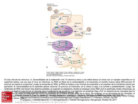 El ciclo vital de los retrovirus. A