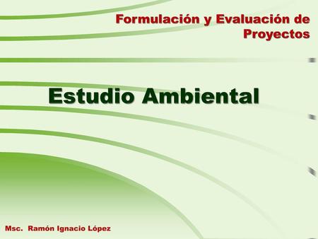 Estudio Ambiental Formulación y Evaluación de Proyectos