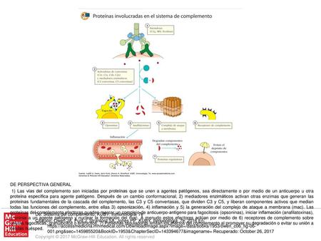1) Las vías del complemento son iniciadas por proteínas que se unen a agentes patógenos, sea directamente o por medio de un anticuerpo u otra proteína.