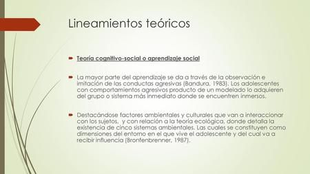 Lineamientos teóricos