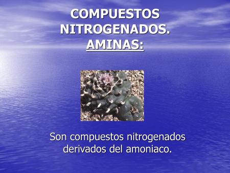 COMPUESTOS NITROGENADOS. AMINAS: