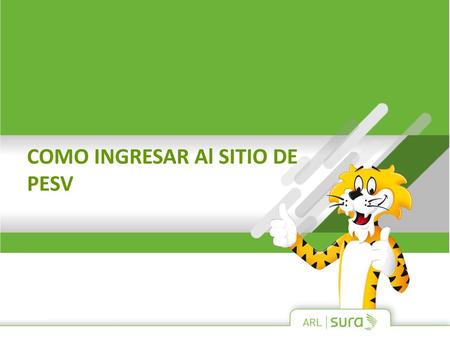 COMO INGRESAR Al SITIO DE PESV