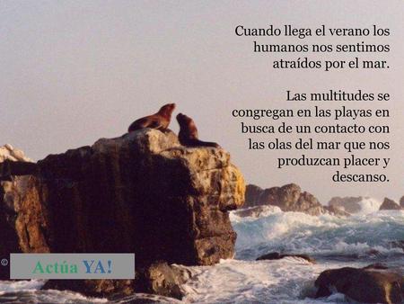 Cuando llega el verano los humanos nos sentimos atraídos por el mar.