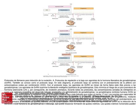 Protocolos de fármacos para inducción de la ovulación. A