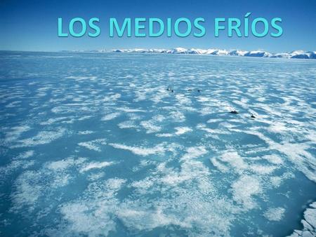 LOS MEDIOS FRÍOS.