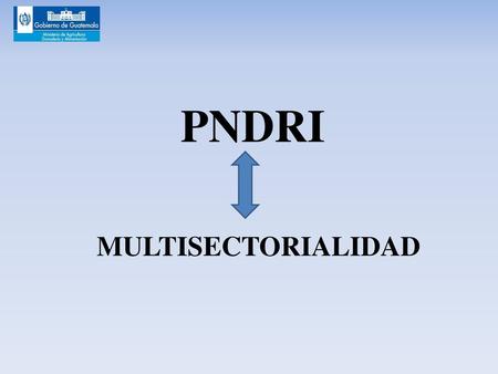PNDRI MULTISECTORIALIDAD.