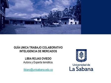 GUÍA UNICA TRABAJO COLABORATIVO INTELIGENCIA DE MERCADOS