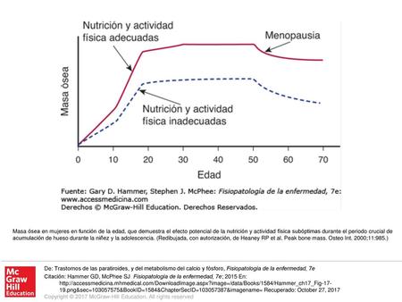 Masa ósea en mujeres en función de la edad, que demuestra el efecto potencial de la nutrición y actividad física subóptimas durante el periodo crucial.