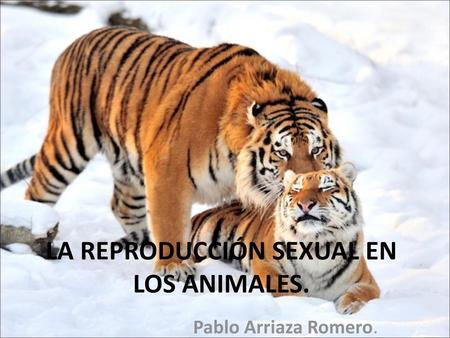 LA REPRODUCCIÓN SEXUAL EN LOS ANIMALES.