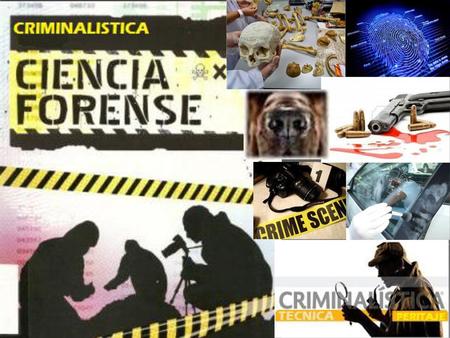 ODOROLOGIA FORENSE. ODOROLOGIA FORENSE ODOROLOGIA FORENSE La Odorología es  la técnica forense, que desarrolla la aplicación de determinados medios.
