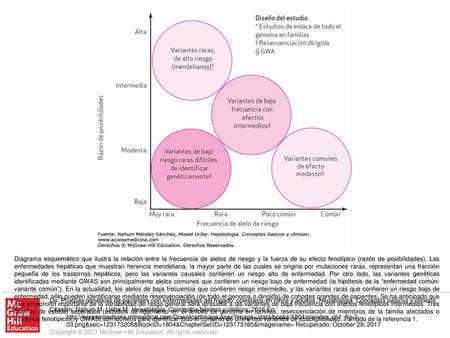 Diagrama esquemático que ilustra la relación entre la frecuencia de alelos de riesgo y la fuerza de su efecto fenotípico (razón de posibilidades). Las.
