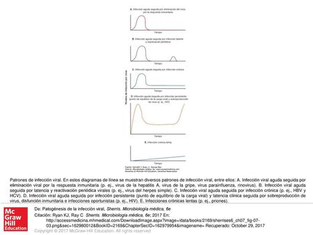 Patrones de infección viral