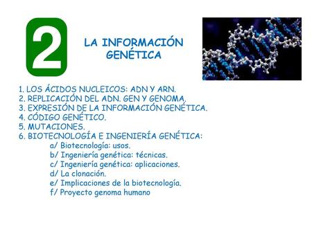 LA INFORMACIÓN GENÉTICA