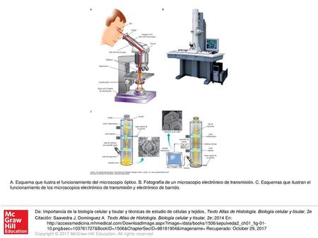 A. Esquema que ilustra el funcionamiento del microscopio óptico. B