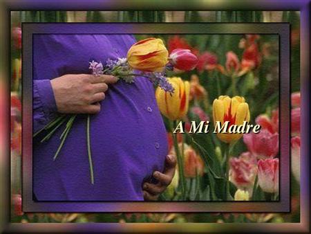 A Mi Madre.