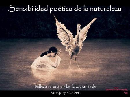 Sensibilidad poética de la naturaleza