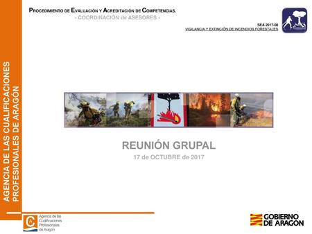 REUNIÓN GRUPAL 17 de OCTUBRE de 2017.