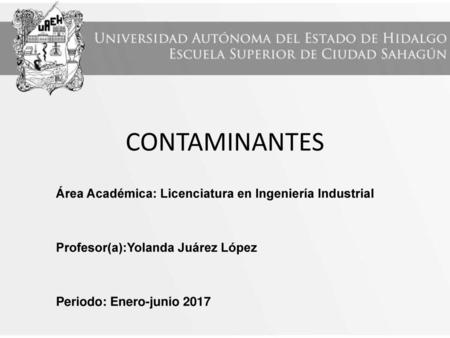 CONTAMINANTES Área Académica: Licenciatura en Ingeniería Industrial