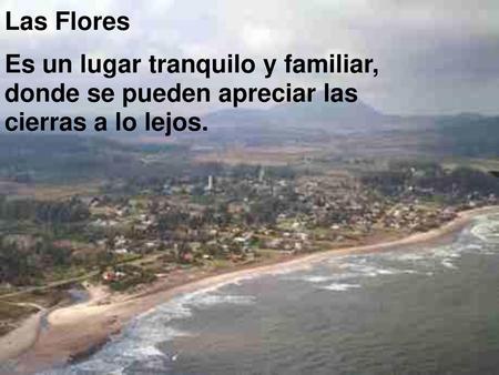 Las Flores Es un lugar tranquilo y familiar, donde se pueden apreciar las cierras a lo lejos.