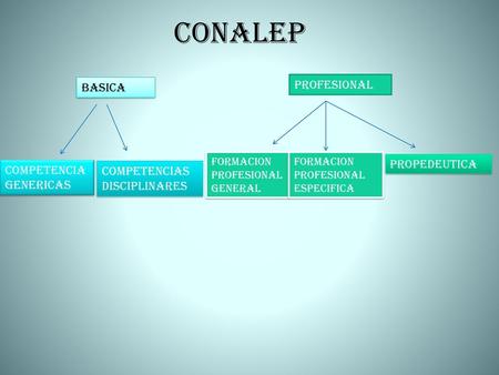 CONALEP PROFESIONAL BASICA PROPEDEUTICA COMPETENCIA GENERICAS