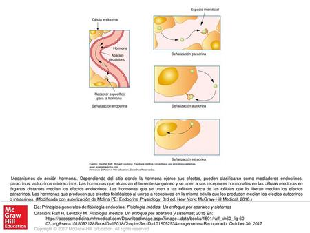 Mecanismos de acción hormonal