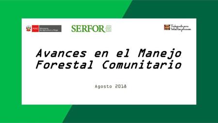 Avances en el Manejo Forestal Comunitario