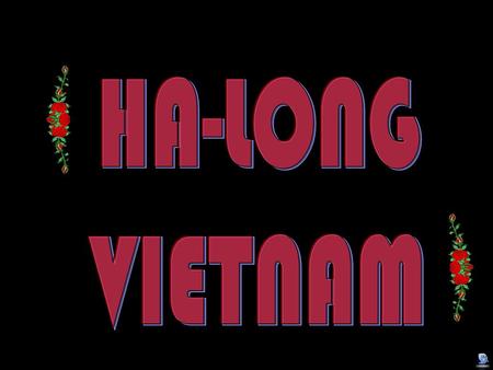 HA-LONG VIETNAM.