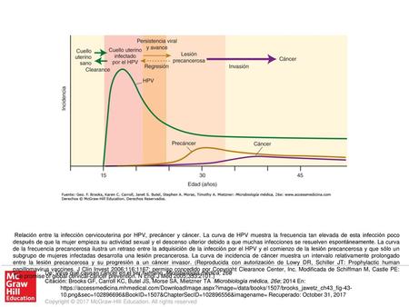 Relación entre la infección cervicouterina por HPV, precáncer y cáncer