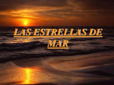 LAS ESTRELLAS DE MAR.