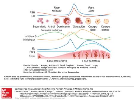 Relación entre las gonadotropinas, el desarrollo folicular, la secreción gonadal y los cambios endometriales durante el ciclo menstrual normal. E, estradiol;