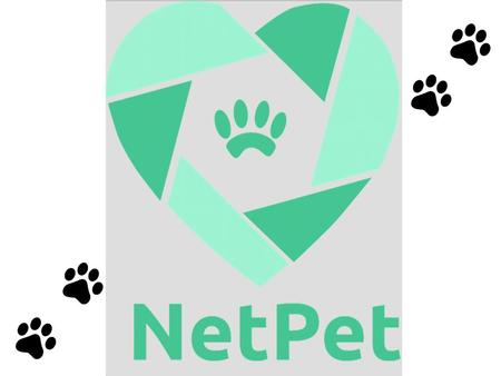 Conneting pets! ¿Tienes solo una mascota? ¿No tiene con quien jugar?