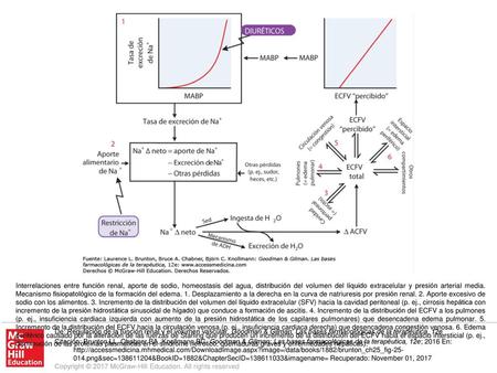 Interrelaciones entre función renal, aporte de sodio, homeostasis del agua, distribución del volumen del líquido extracelular y presión arterial media.