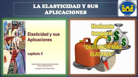 LA ELASTICIDAD Y SUS APLICACIONES