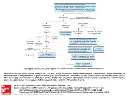 Protocolo de estudios renales en caso de hematuria