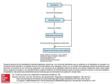 Esquema general del eje hipotalámico-hipofisario-glándulas endocrinas