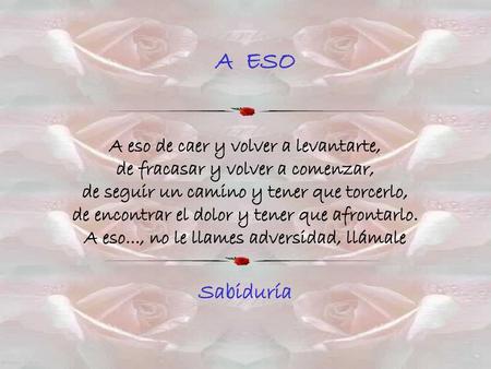 A ESO A eso de caer y volver a levantarte, de fracasar y volver a comenzar, de seguir un camino y tener que torcerlo, de encontrar el dolor y.