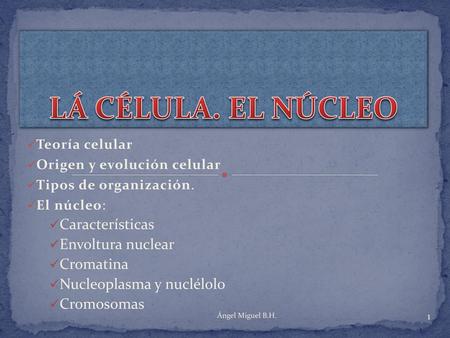 LÁ CÉLULA. EL NÚCLEO Características Envoltura nuclear Cromatina