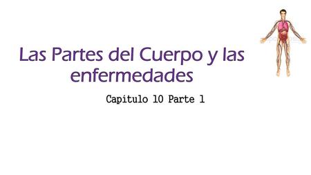 Las Partes del Cuerpo y las enfermedades