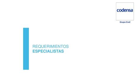 REQUERIMIENTOS ESPECIALISTAS.