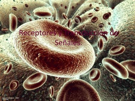 Receptores y Transducción de Señales.