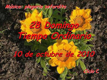 28 Domingo Tiempo Ordinario
