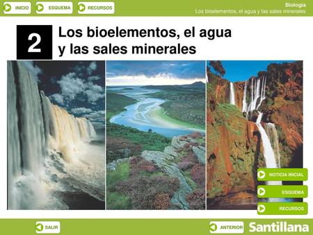 2 Los bioelementos, el agua y las sales minerales ESQUEMA